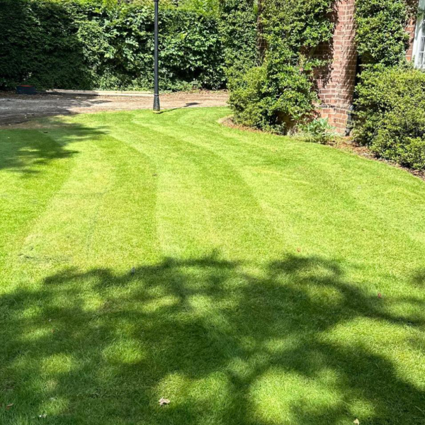 lawncare